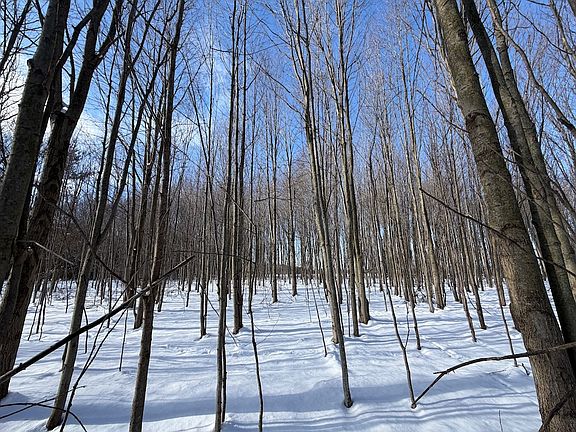 5th image of Carpenter Rd Lot Wp003