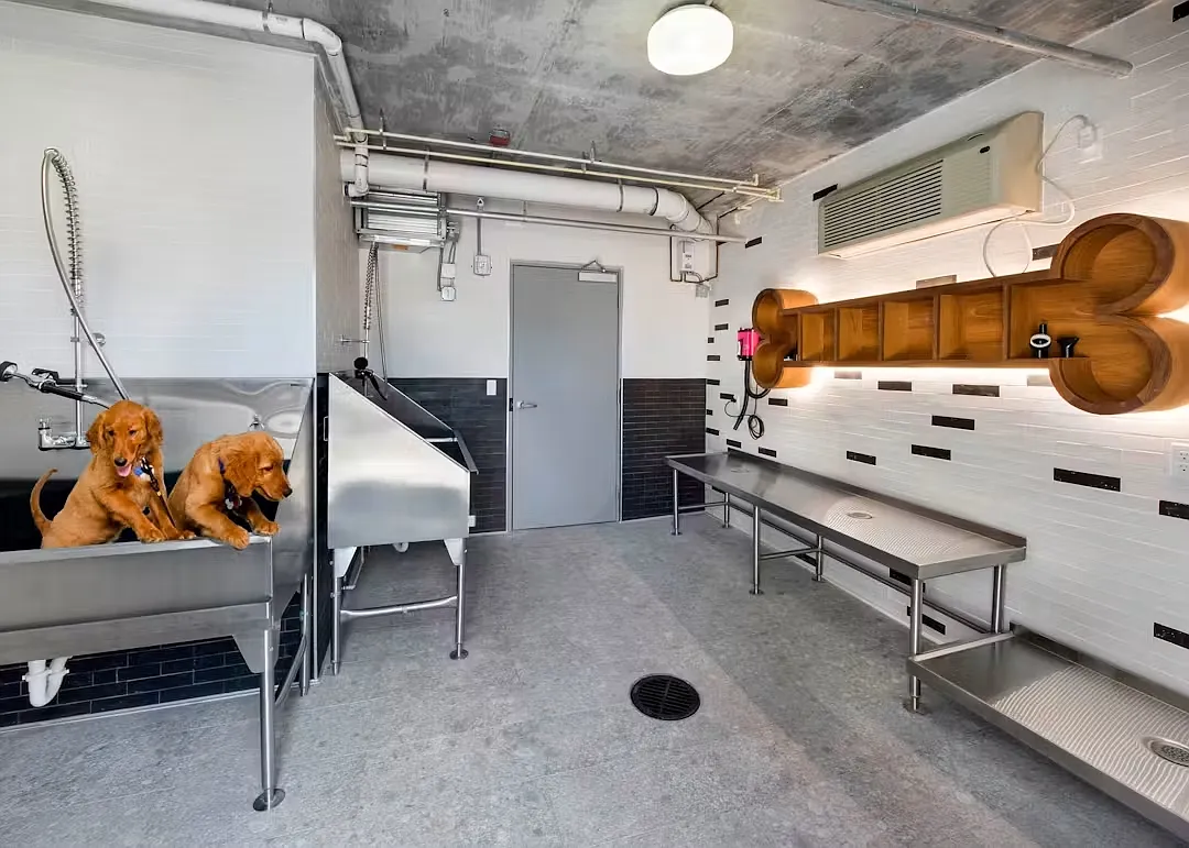 1 bed, 571 sqft, $2,753 — Photo 4