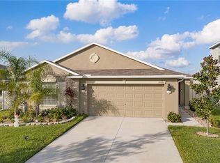 10002 Crested Fringe Dr, Riverview, FL 33578