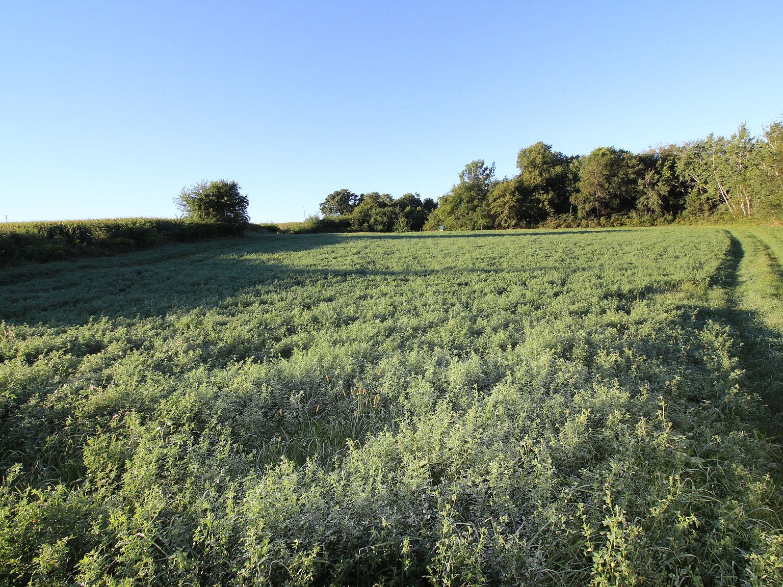 216TH Ave., Lamotte, IA 52054 Zillow