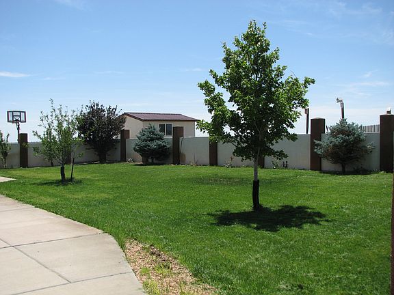 Backyard with fruit trees