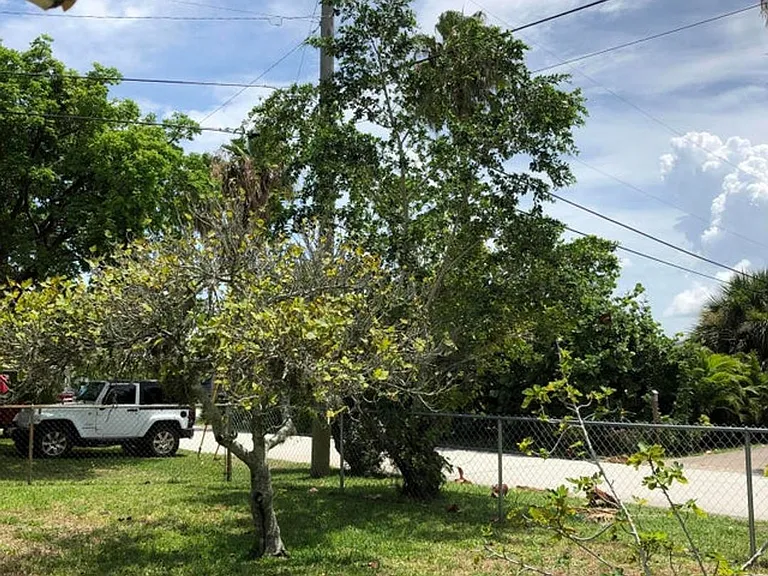 1213 Banana River Dr — Photo 4