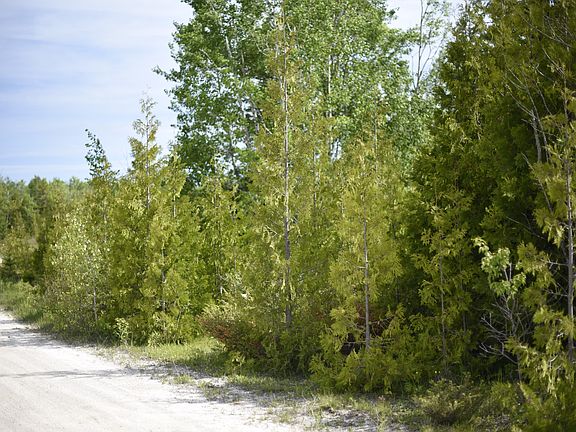 4th image of Lakewood Ln