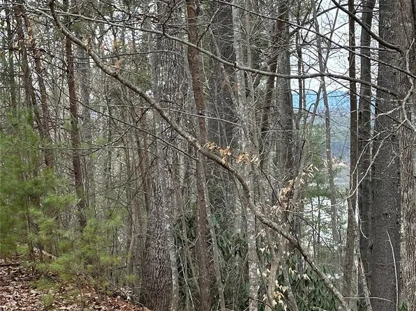 29 Waters Edge Dr, Nebo, NC 28761