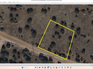 8528 Cannon Blvd, Show Low, AZ 85901