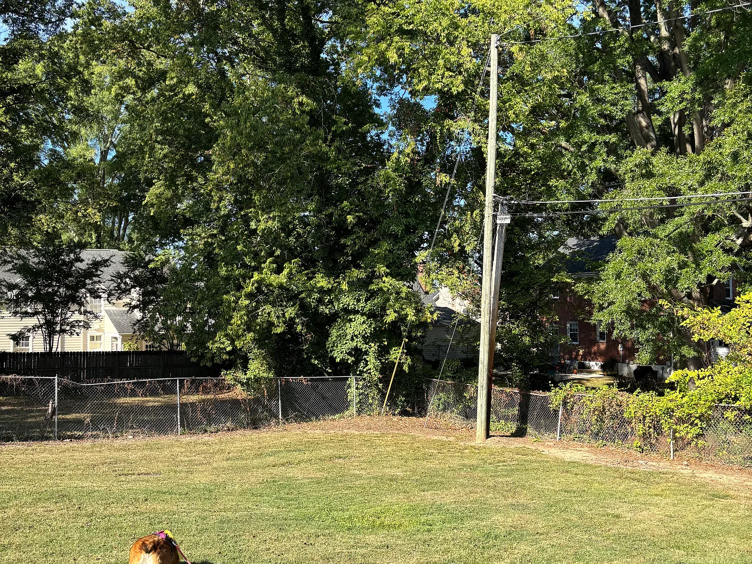 2 bed, 1.5 bath, $2,200 — Photo 2