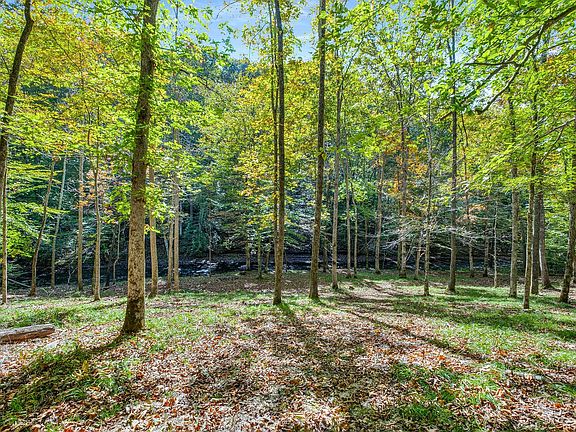 74th image of this home