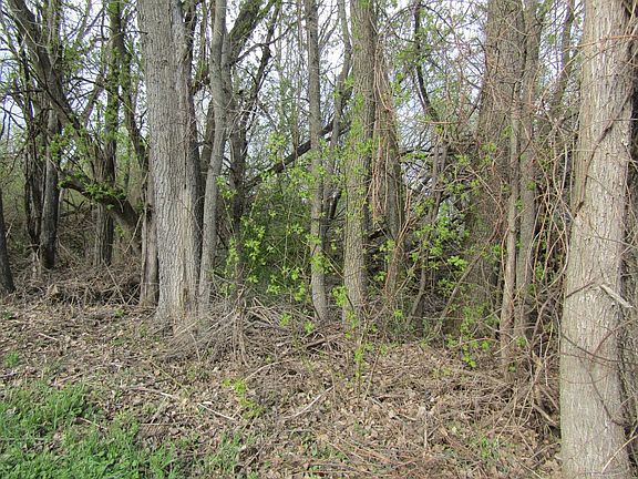 5th image of 168 Border Road