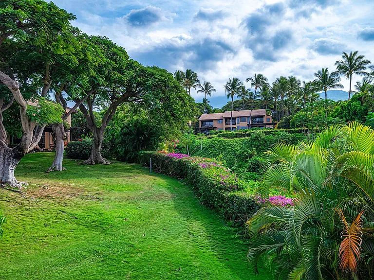 Wailea Alanui Dr — Photo 28