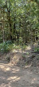 Reed Mountain Rd, Charleston, AR, 72933