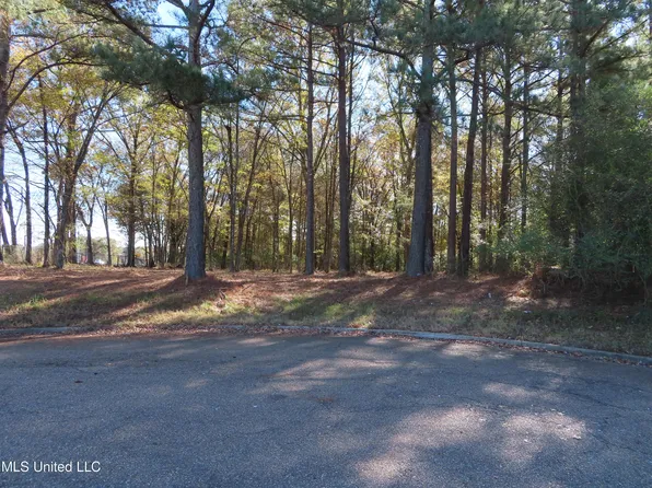 0 Johnston Pl, Clinton, MS 39056