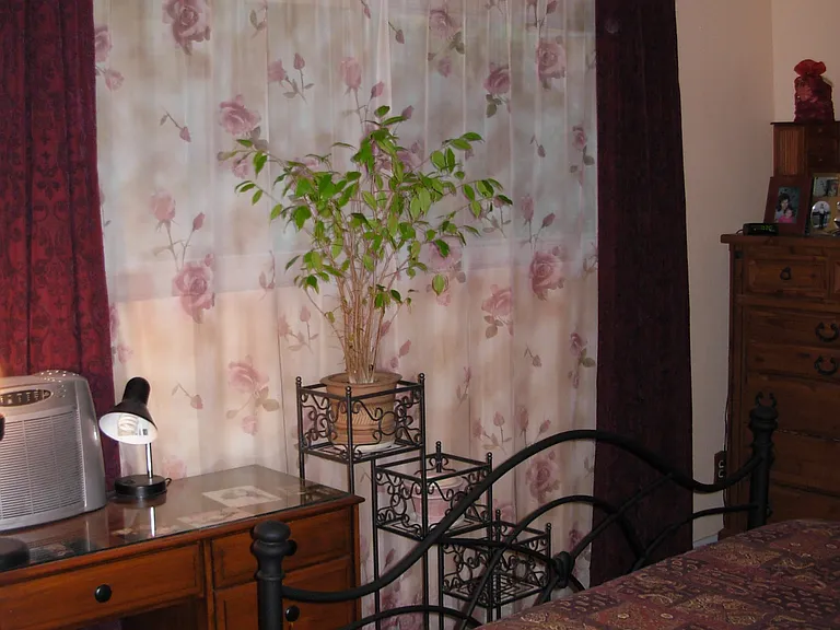 8665 Lake Murray Blvd #166 — Photo 7