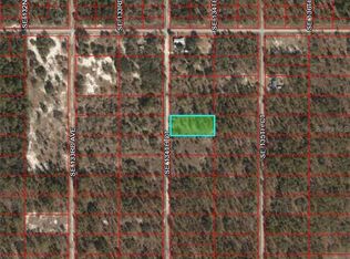 11221 SE 134th Ct, Dunnellon, FL 34431