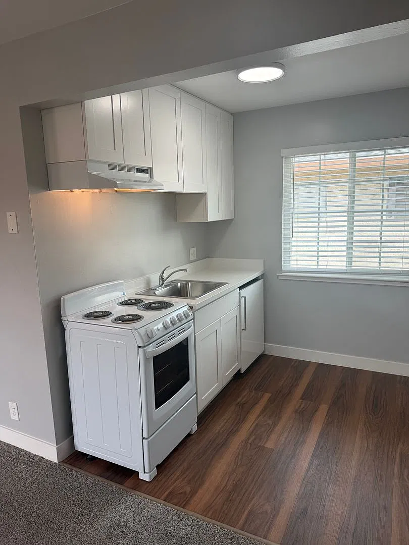 540 - 2970 Magliocco — Photo 1