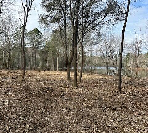 2nd image of State Highway 53 Lot 3