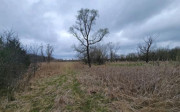 2nd image of 25826 N Knollwood Dr