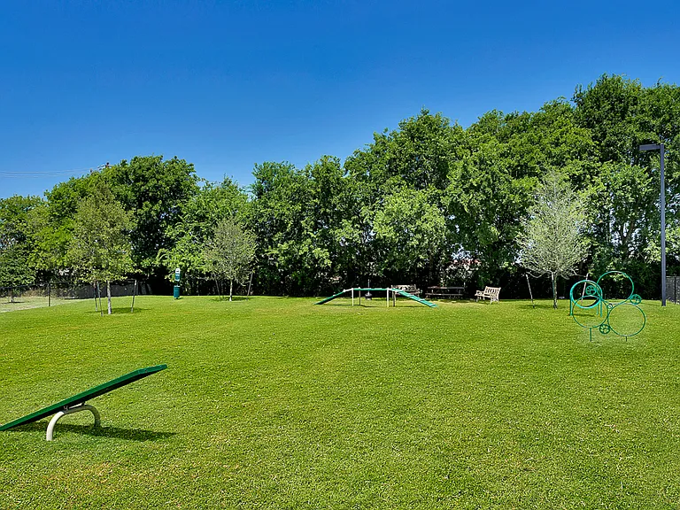 Dog Park