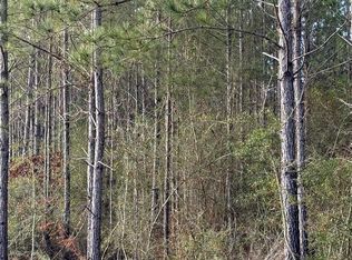 0 Glenwood Dr Lot 444, Carriere, MS 39426