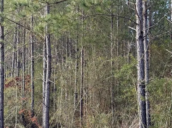 0 Glenwood Dr Lot 444, Carriere, MS 39426