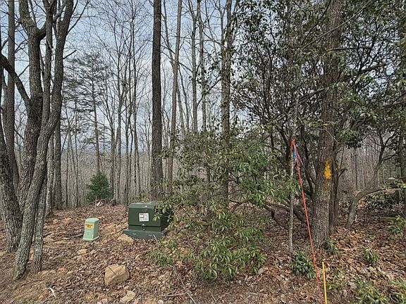 4th image of TRACT B2 Mountain St