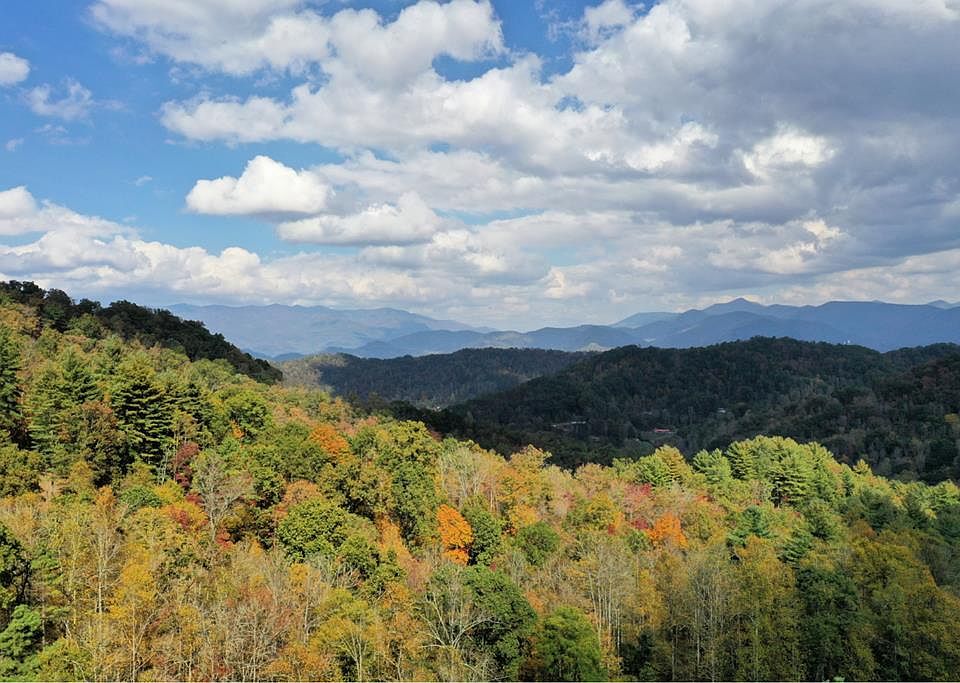 1st image of Vl313 Mountain Forest Ests