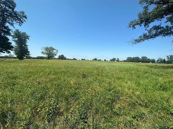 1 County Road 1166, Brashear, TX 75420 | MLS #23008440 | Zillow