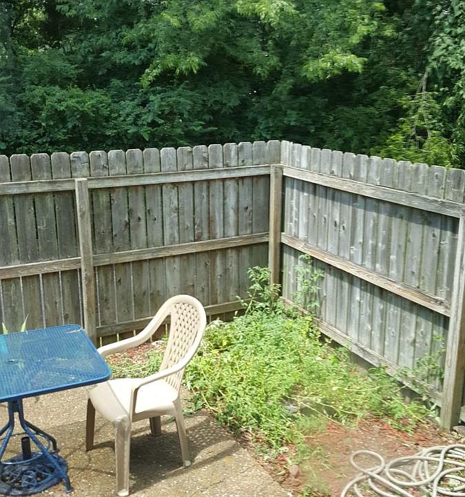 Yard with Tomatoes