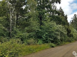 4200 168th Ln, Long Beach, WA 98631