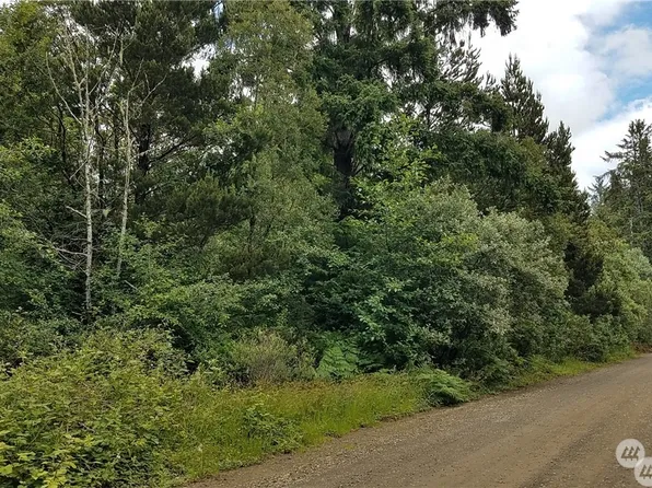 4200 168th Lane, Long Beach, WA 98631