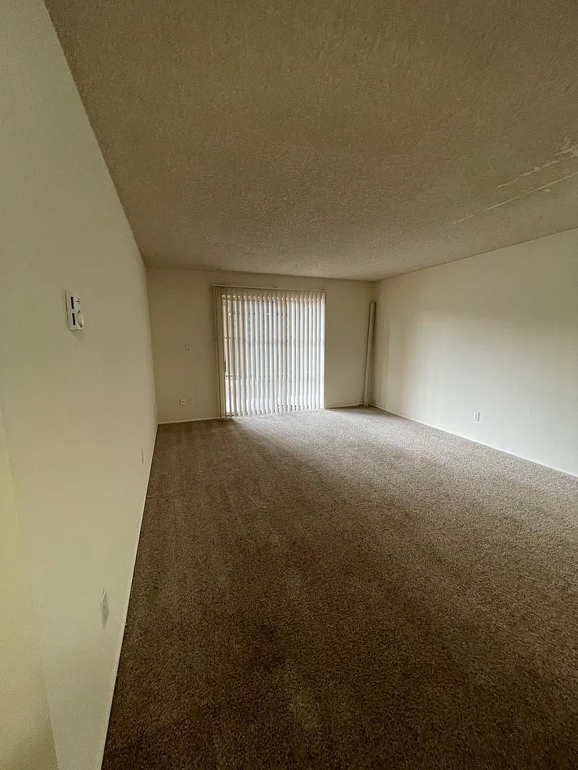 451w13 — Photo 3