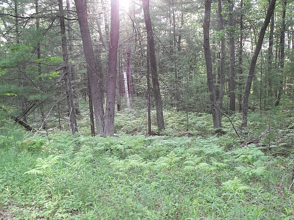 5th image of Hilltop St #Lots