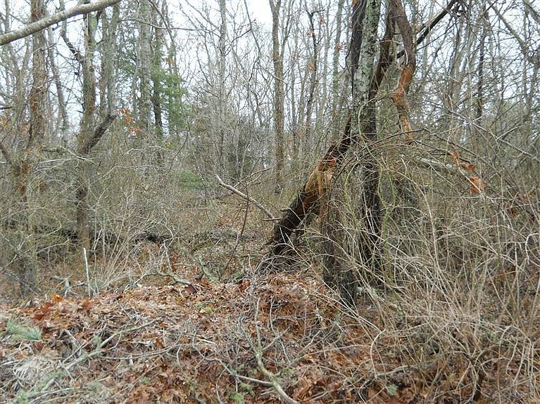2nd image of 151 Clifton Lane