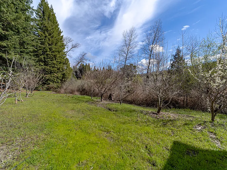Salmon Creek Rd — Photo 14