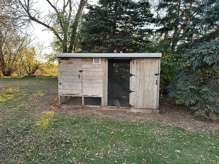 Chicken Coop!