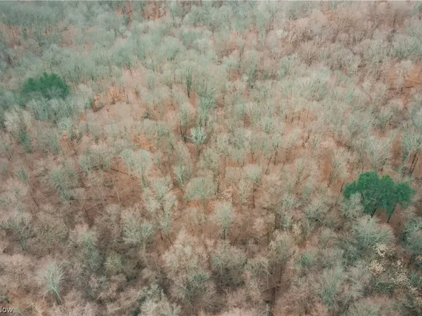 1010 Butterbean Ridge Rd, Philo, OH 43771