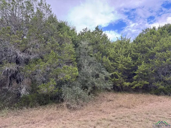 41077 Heartwood Cir, Whitney, TX 76692