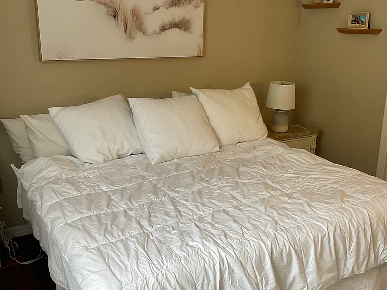 3133 Bayshore Oaks Dr — Photo 11