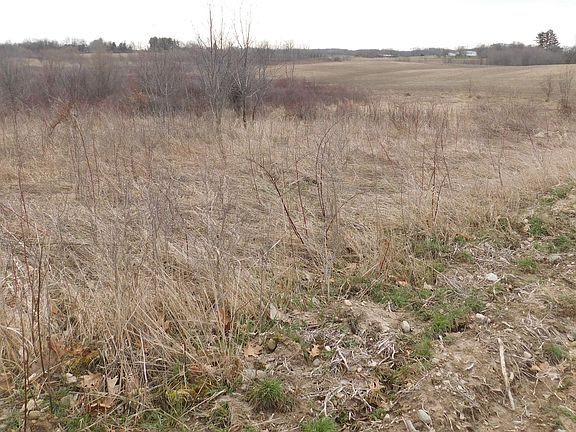 4th image of Cox Rd