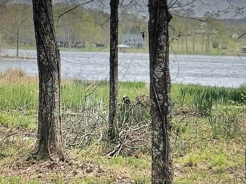 2nd image of 805 General Jackson Memorial Dr
