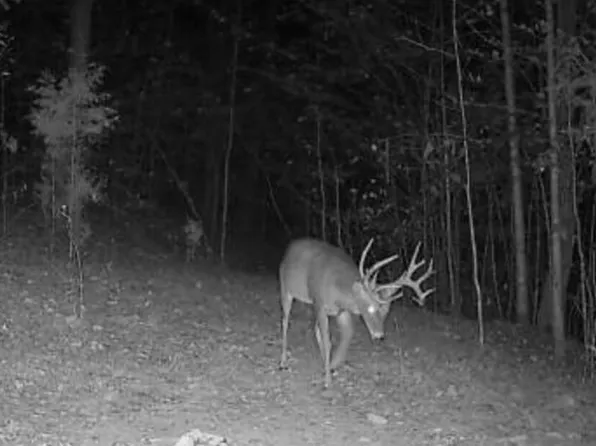 0 Dry Fork, Raywick, KY 40060