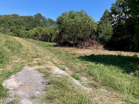 2nd image of TRACT 1 Ousley Gap Rd