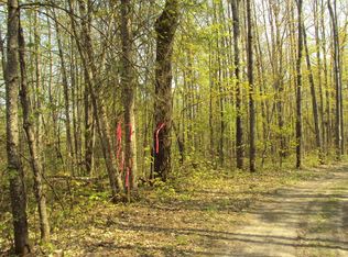 Spikehorn Trl, Indian River, MI 49749