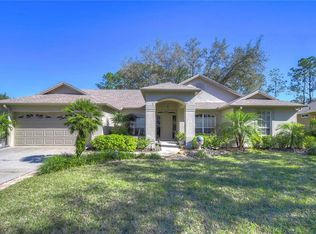 4804 Willow Ridge Ter, Valrico, FL 33596