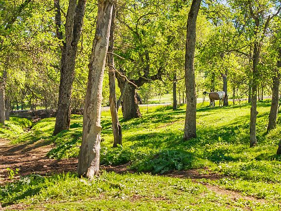 5th image of 4997 Carbondale Rd