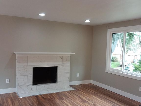 Living room fireplace 