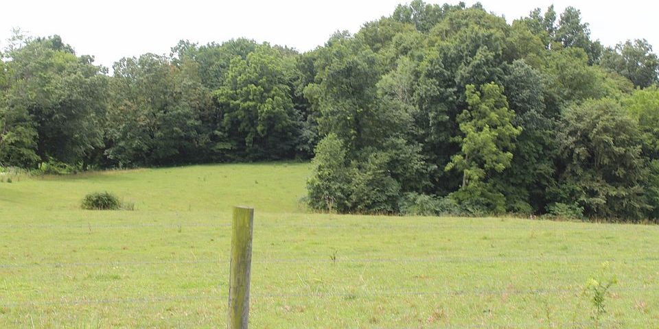 2nd image of 754 Kino Wolf Island Rd