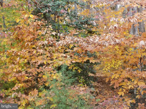 614 Clover Hill Dr, Ruther Glen, VA 22546