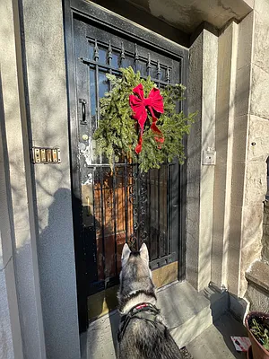 Rented by Compass | media 52