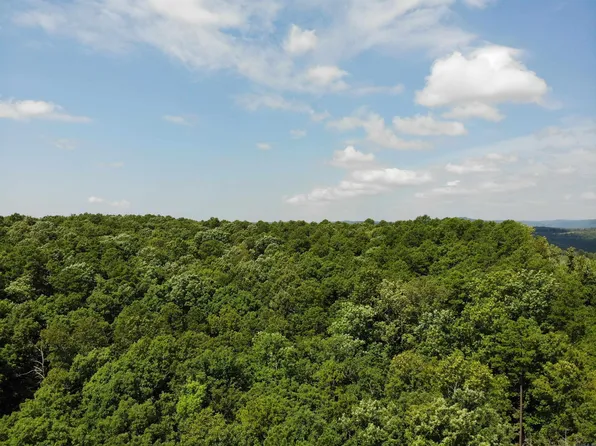 (undisclosed Address), Clinton, AR 72031