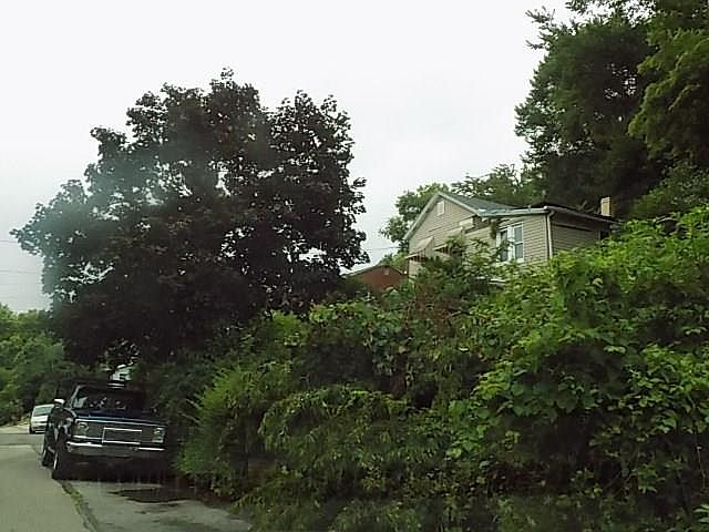 1st image of 1260 Lakewood St